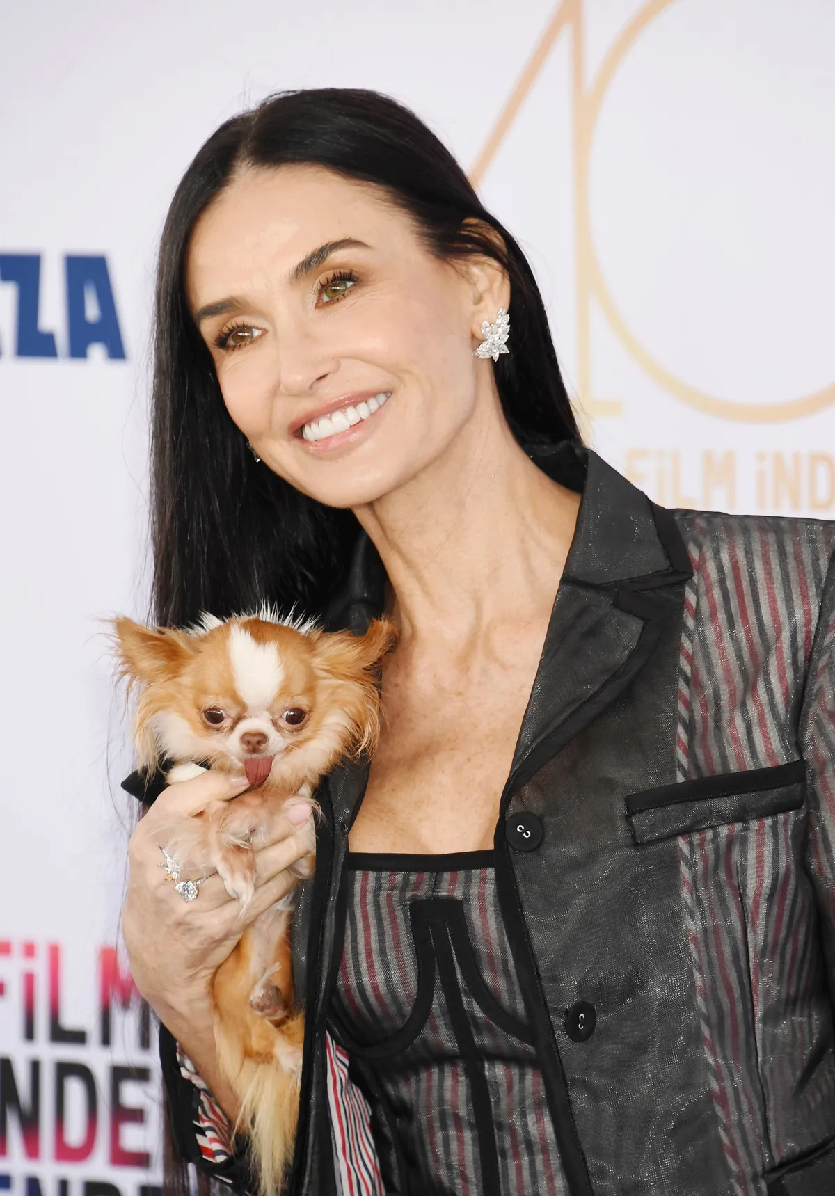 Demi Moore kutyája, Pilaf szinte mindenhova elkísérte gazdáját