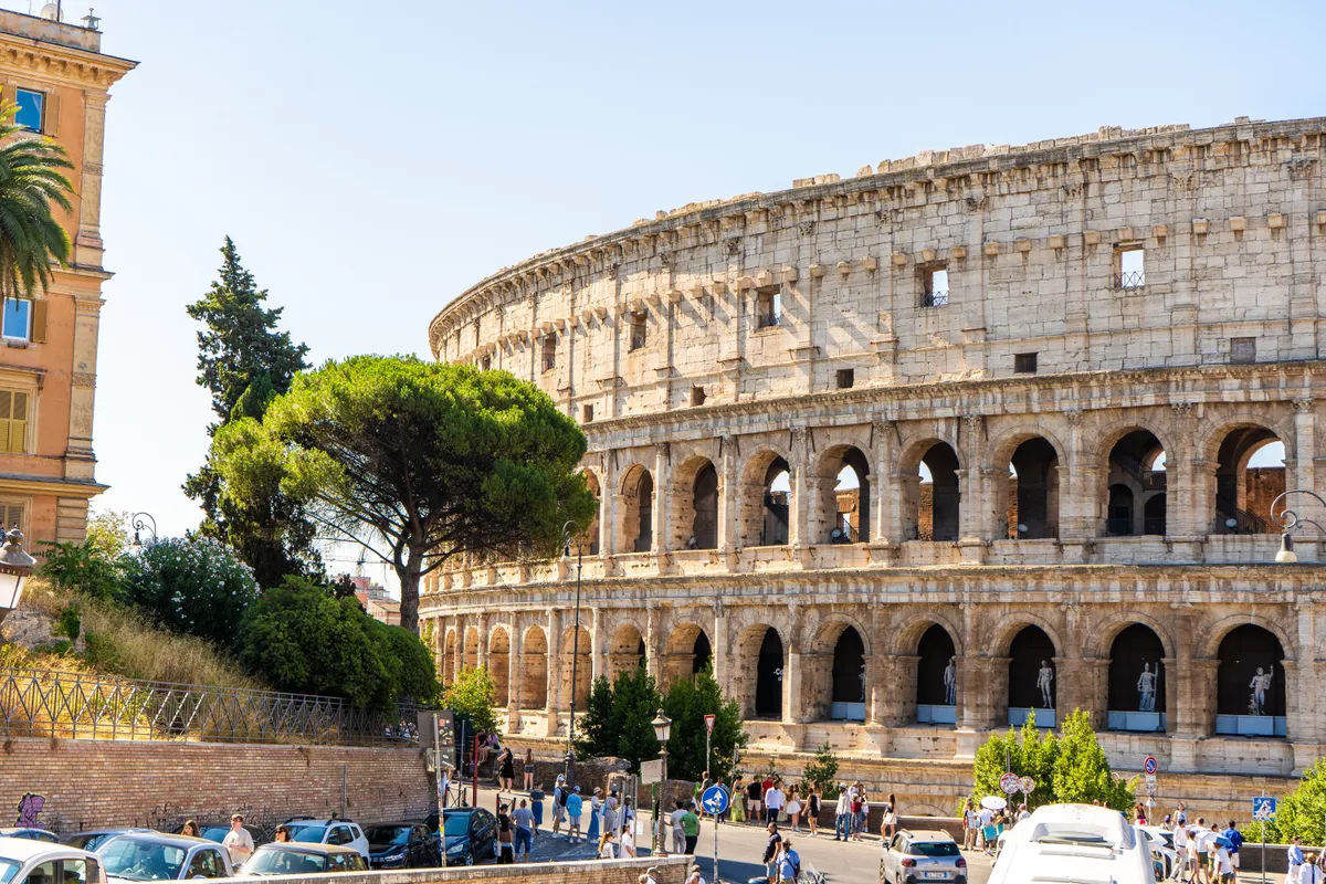 Colosseum,Rome,Italy.,Coliseum,Building,In,Summer.,Italian,Pine.,Italy,