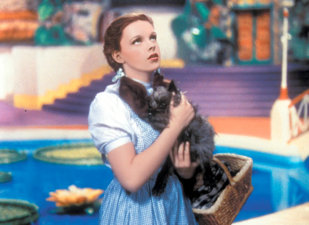 Judy Garland Dorothy szerepében az Óz a csodák csodája című filmben.