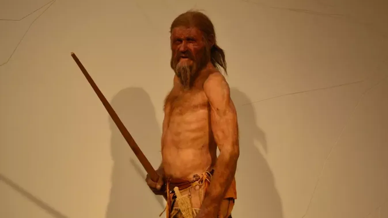 Újabb fordulat Ötzi, a jégember ügyében – valójában ezért halt meg a gleccserből előkerült múmia