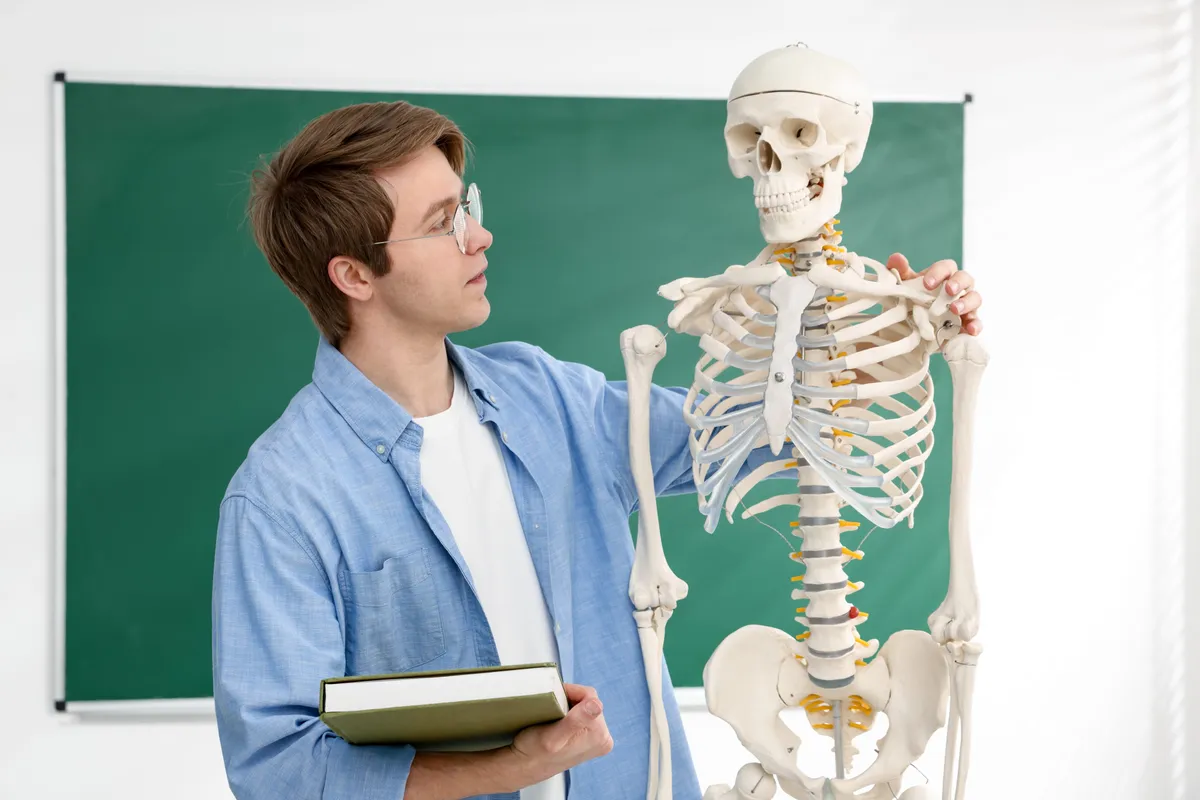 emberi test kvíz, fiatal fiú egy csontvázzal