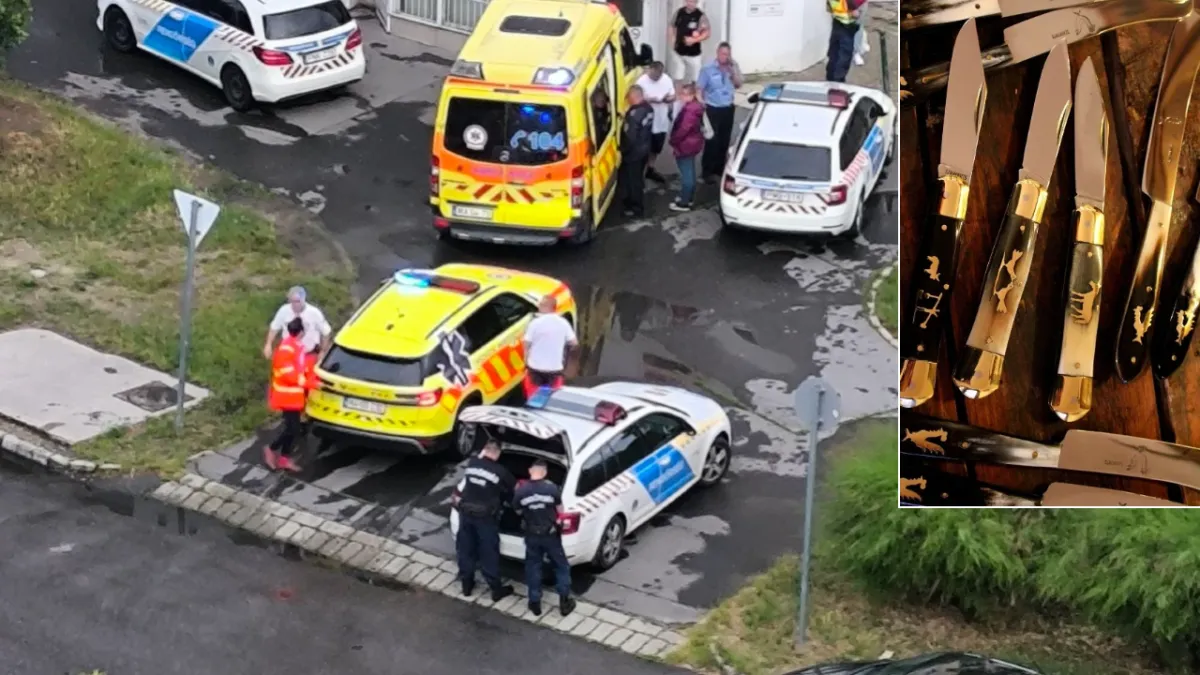 „Fogta a kipattintós bicskáját, és hátba szúrt”– s