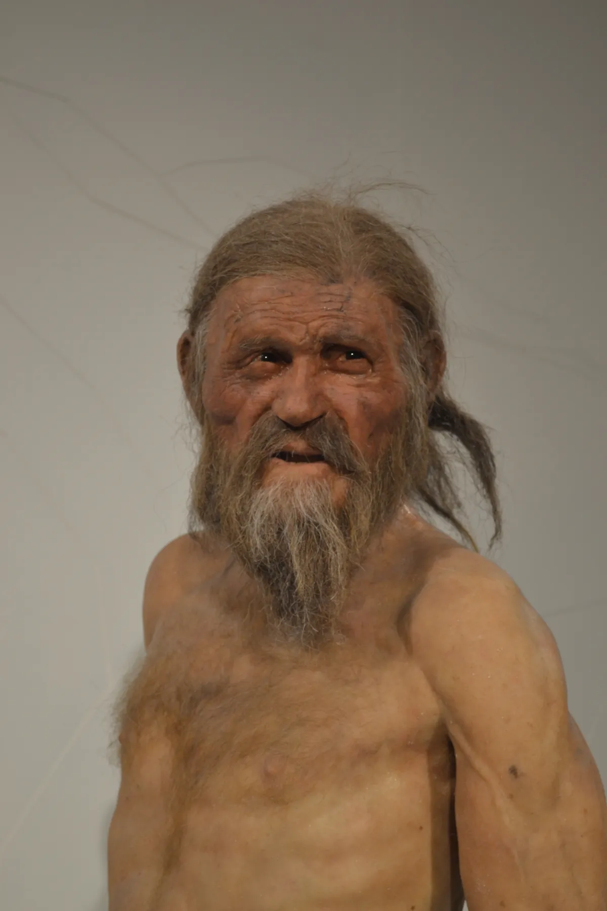Ötzi rekonstuált megjelenése.