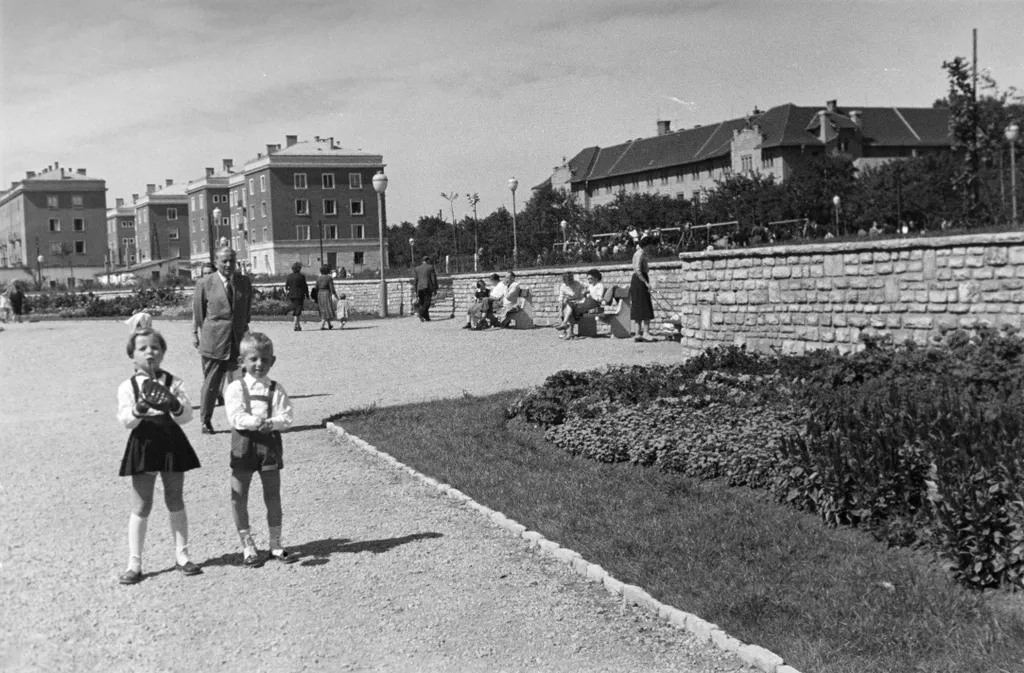 1958. Park a Feneketlen-tó mellett. Szemben a Tas vezér utca. Jobbra a Villányi úton a Kertészeti és Szőlészeti Főiskola épülete (később Szent István Egyetem, majd Magyar Agrár- és Élettudományi Egyetem, Budai Campus). Fortepan - Ábrahám Katalin és László