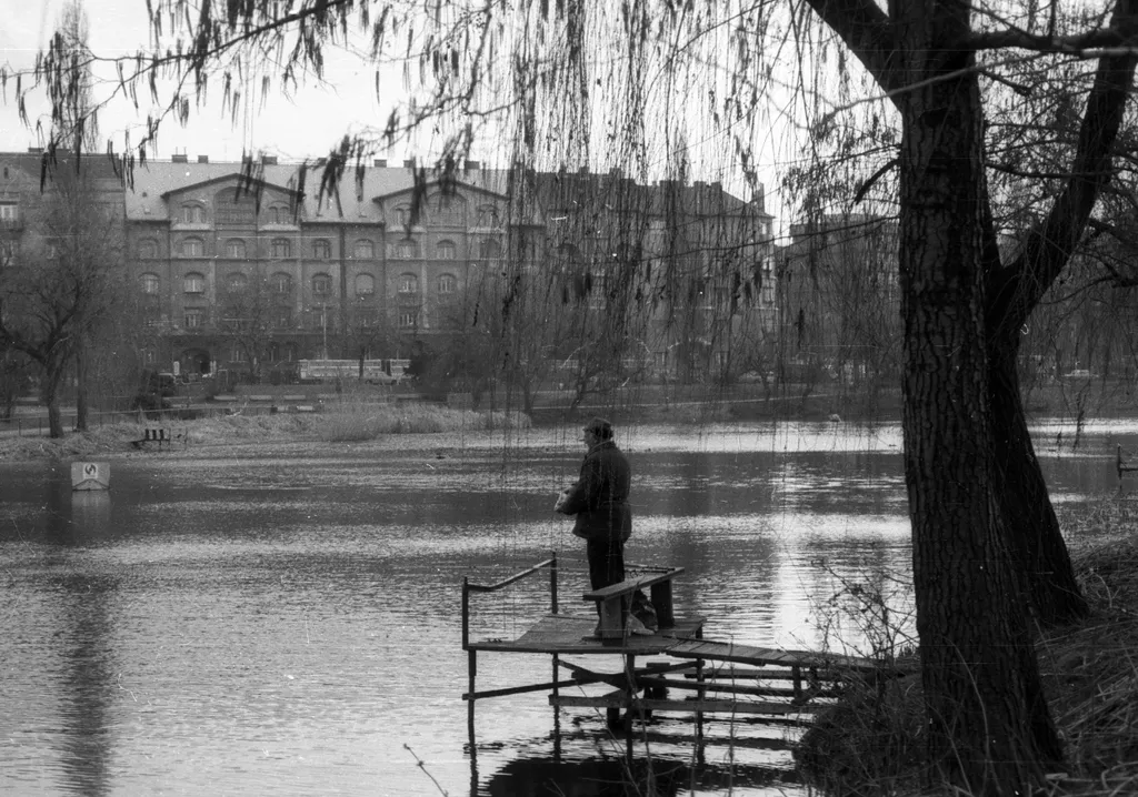 1988. Feneketlen-tó, háttérben a Bartók Béla út házai. Fortepan - tm
