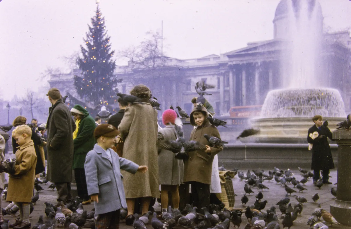 Galambok a Trafalgar square-en az ötvenes években.