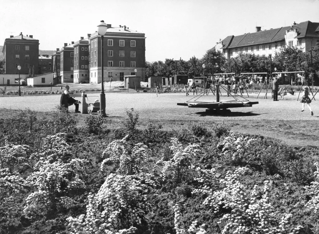 1960. park a Feneketlen-tó mellett. Szemben a Tas vezér utca. Jobbra a Villányi úton a Kertészeti és Szőlészeti Főiskola épülete (később Szent István Egyetem, majd Magyar Agrár- és Élettudományi Egyetem, Budai Campus). Fortepan