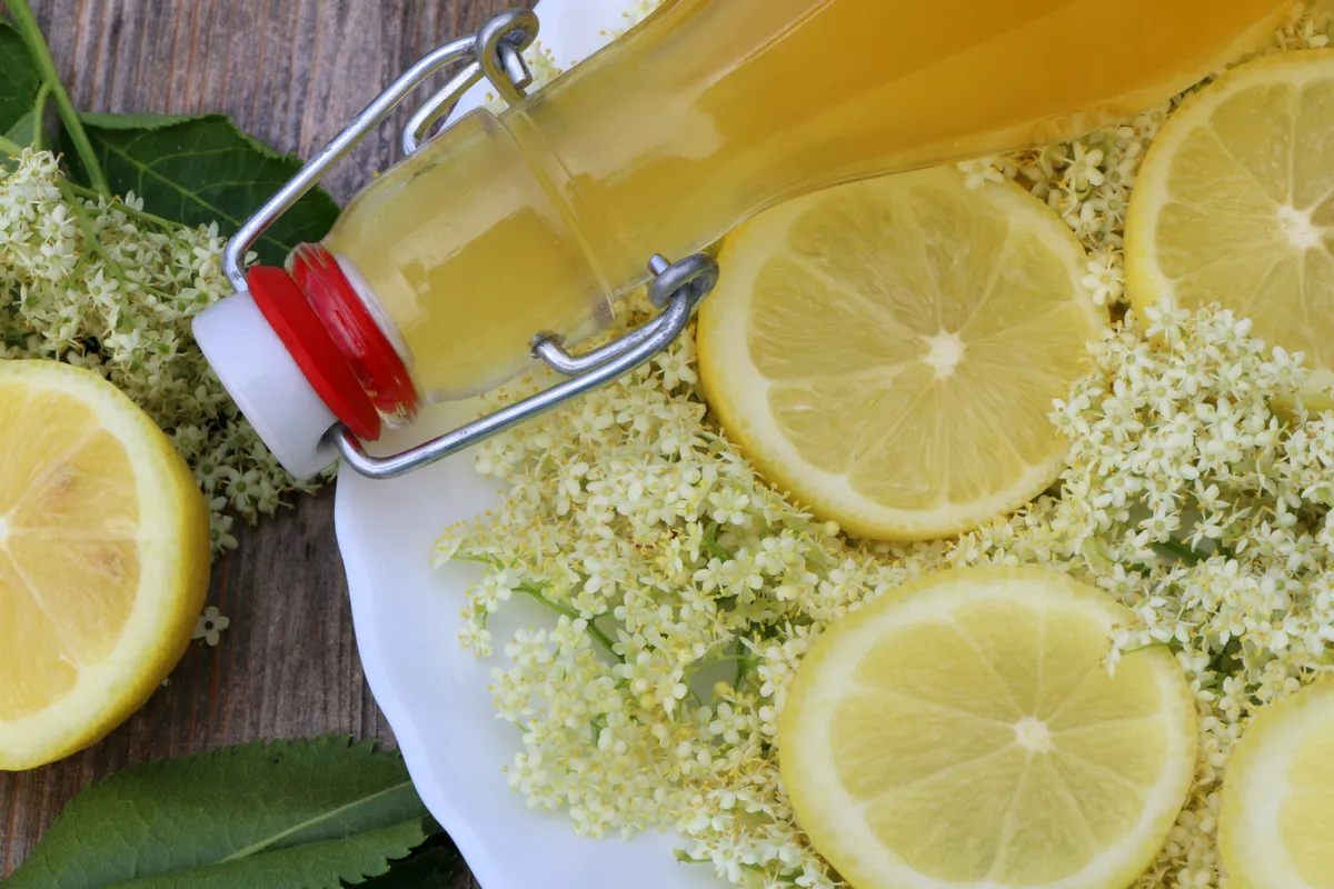 Bodzaszörp recept citromkarikákkal.