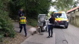Kutyák tartják rettegésben a Óbudát, postást marcangolt szét a bedühödött állat