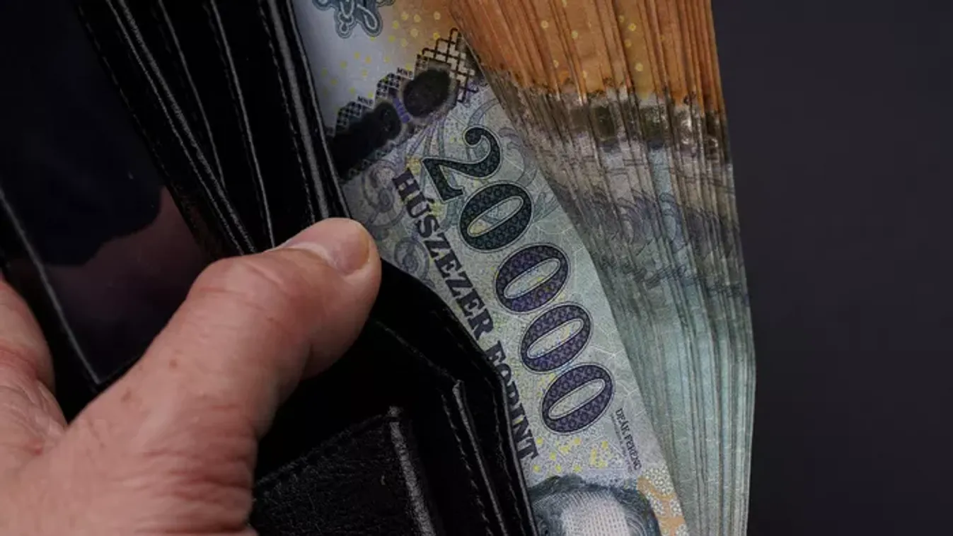 Sorozatcsalót kapott el a terrorelhárító csapat, közel 100 millió forintos kárt okozhatott