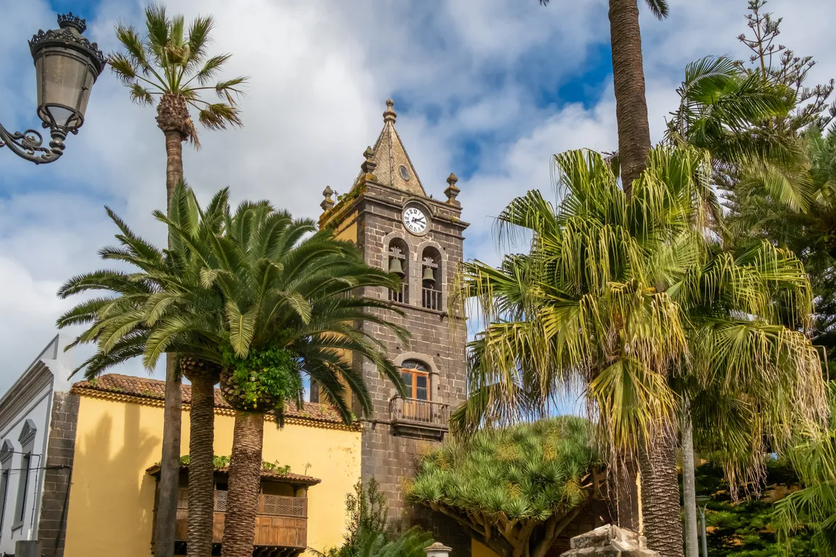 La Laguna épületei, pálmafái és templomtornya Tenerifén.