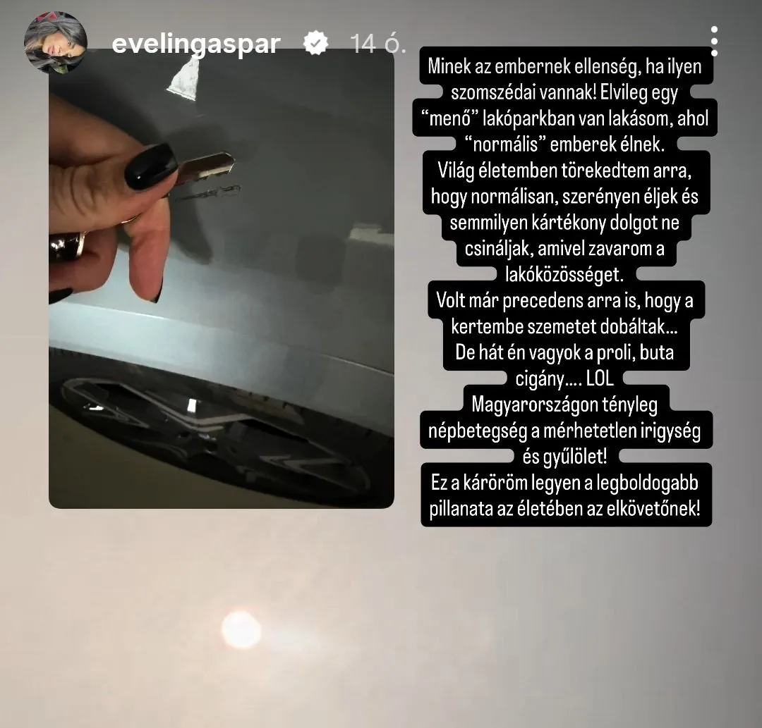 Gáspár Evelin kifakadt a rongálóra.