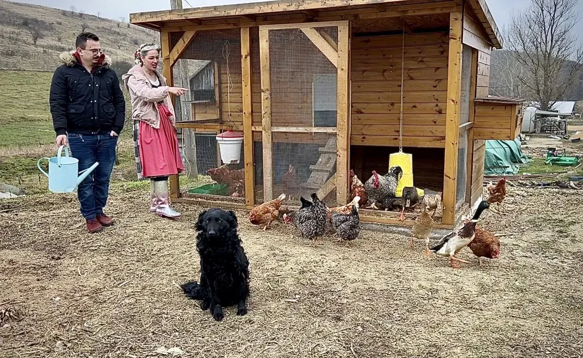 Anna és Dávid farmukon rendezgetik a tyúkólat.