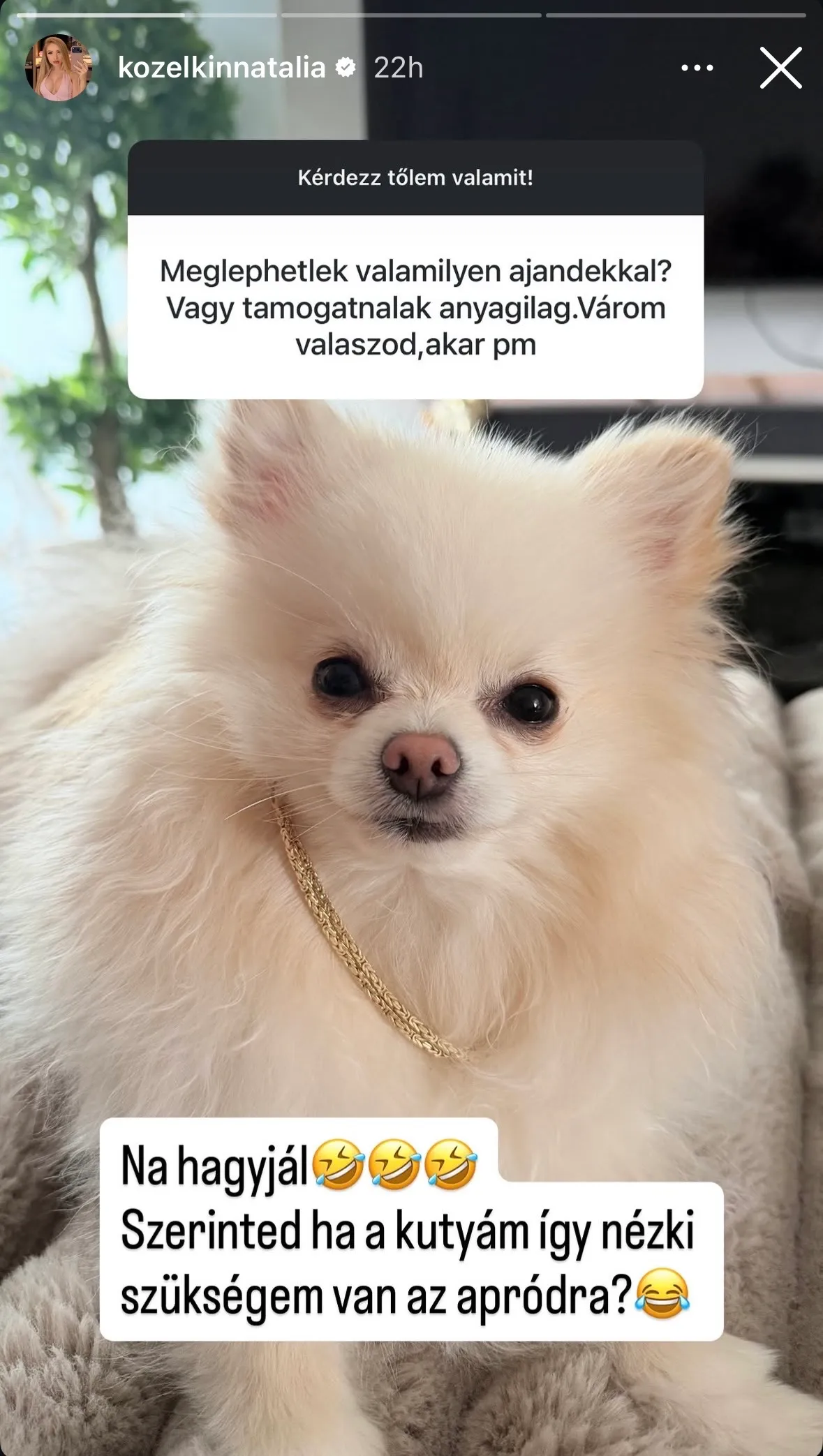 Nagy Ő Nati gyerekekként kezeli a kiskutyáit.