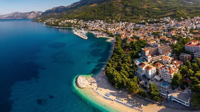 Ezek az Adria legveszélyesebb állatai