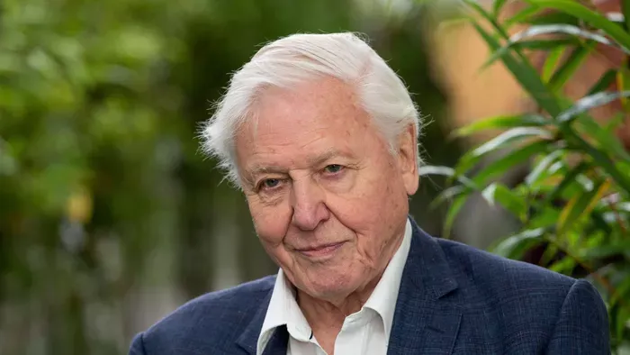 Több mint 50 állatfaj őrzi Sir David Attenborough nevét