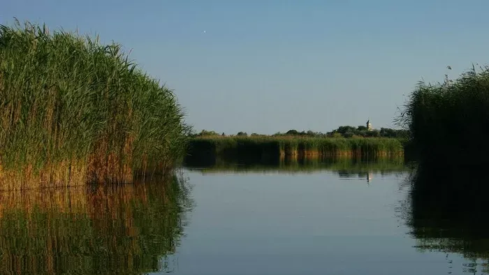 Ezek a Velencei-tó legnépszerűbb éttermei a vendégek szerint
