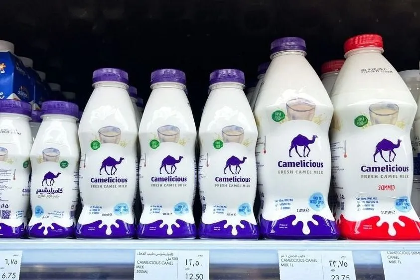 A tevetej az új őrület – Nemsokára a kávézókban is kérheted a cappuccinódba