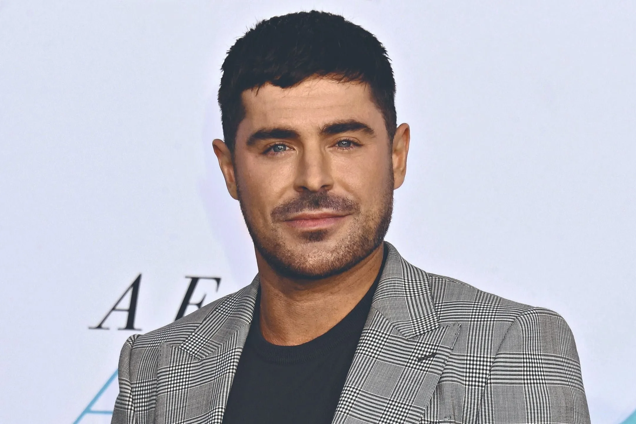 Zac Efron rá sem bír nézni a High School Musicalre – Sztárok, akik utálták híres szerepüket