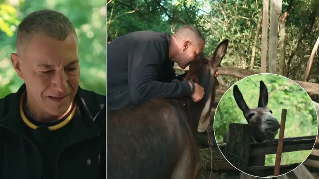Farm VIP: Németh Kristóf az édesapját látja a szamárban