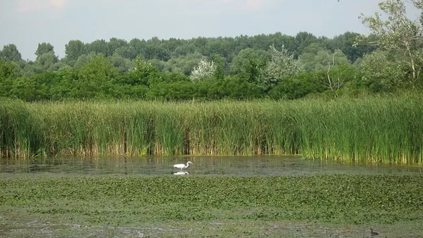 Elképesztő kora őszi úti célok a Holt-Tisza mentén, amiket muszáj felkeresned