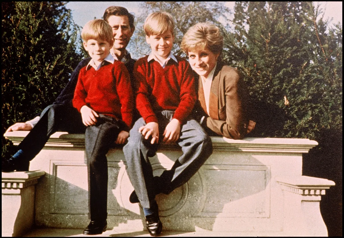 Vilmos herceg kihátrált az új Diana hercegné projektből.