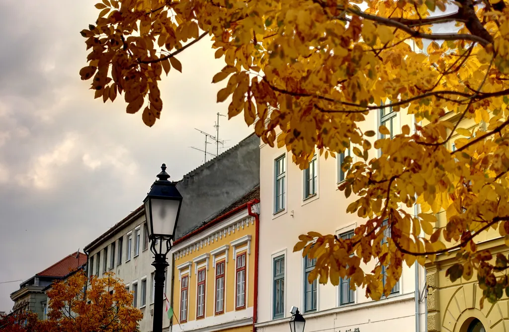 Színes lombok, pasztell színű ódon falak: ilyen az ősz Pécsett. 