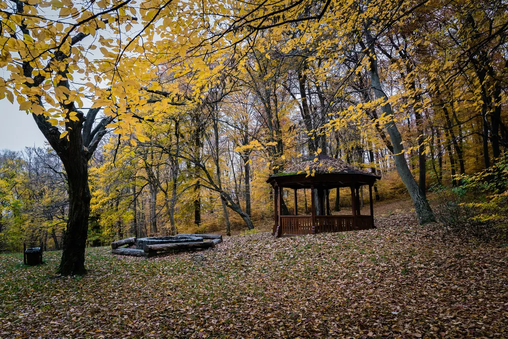 A közeli Mecsek is hangulatos sétákat ígér az év e színes időszakában. 