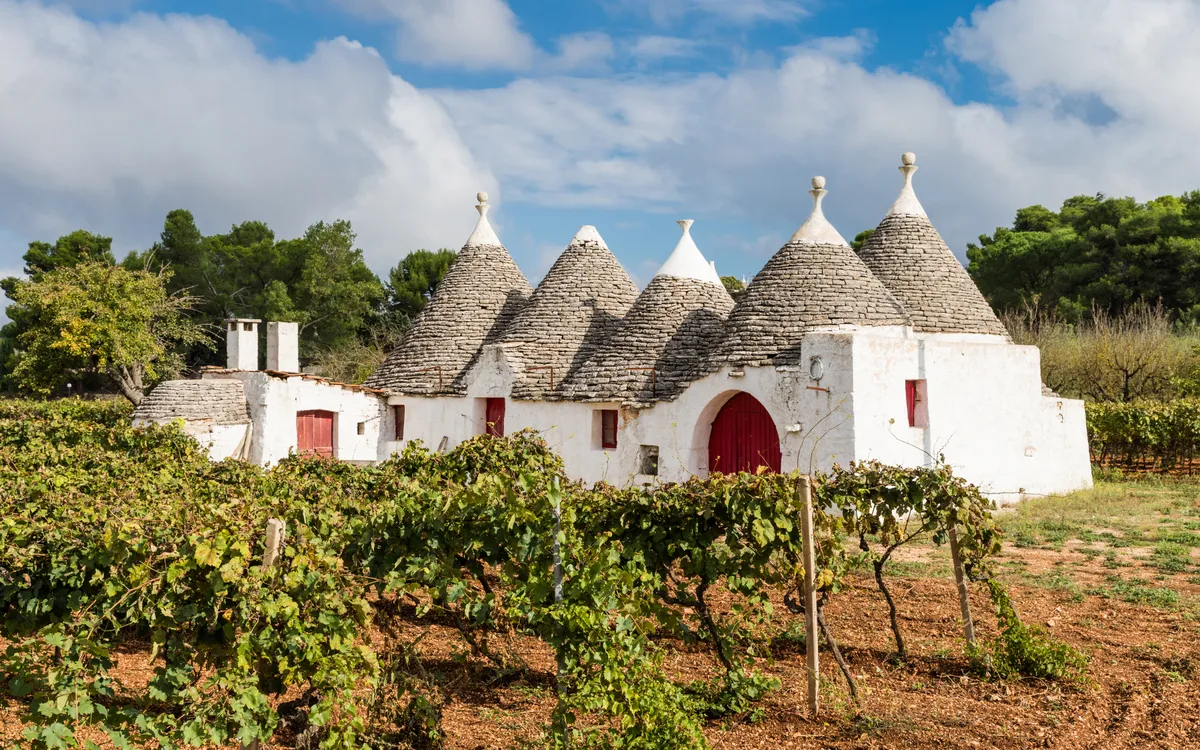 A pugliai Alberobello trullói szőlőültetvények mögött.