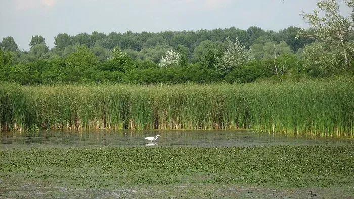 Elképesztő kora őszi úti célok a Holt-Tisza mentén