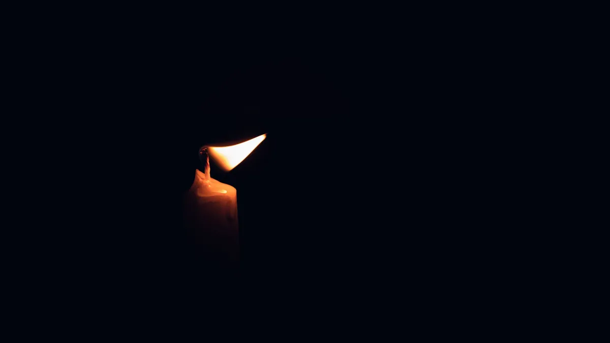 Mindössze 27 évesen halt meg a sziámi ikerpár
