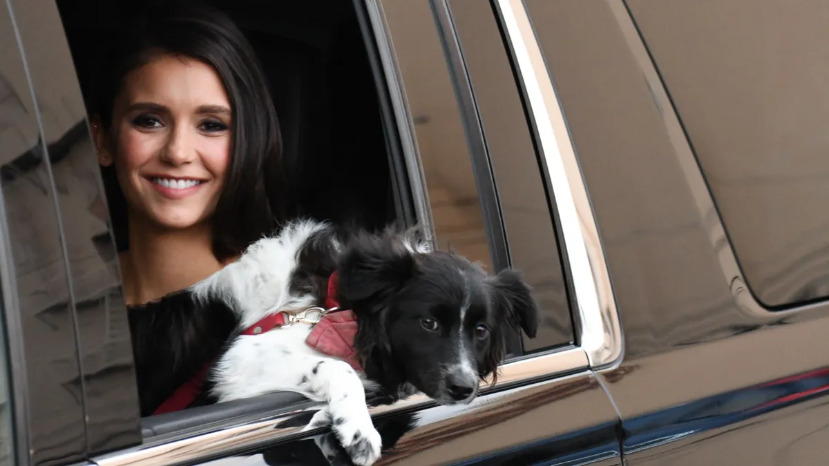 Nina Dobrev és Maverick