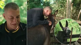 Farm VIP: Németh Kristóf az édesapját látja a szamárban