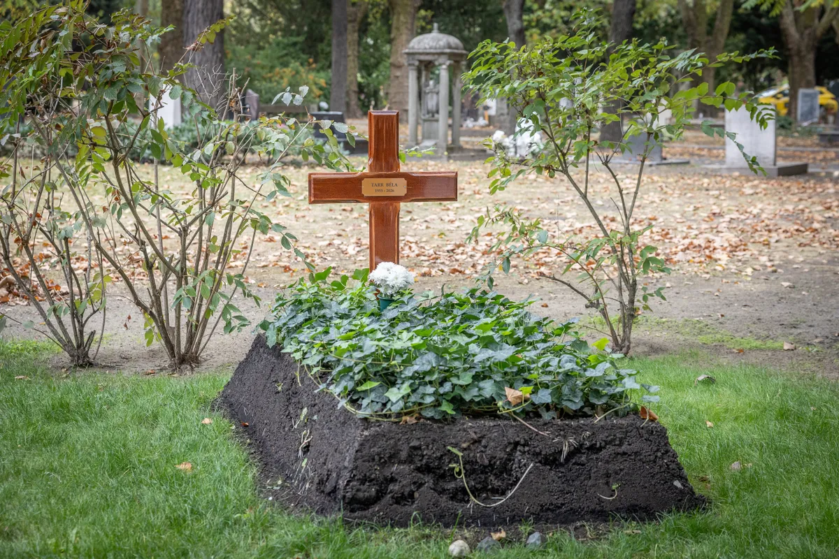 Tarr Béla sírhelye rendezett, a sírra borostyánt ültettek.