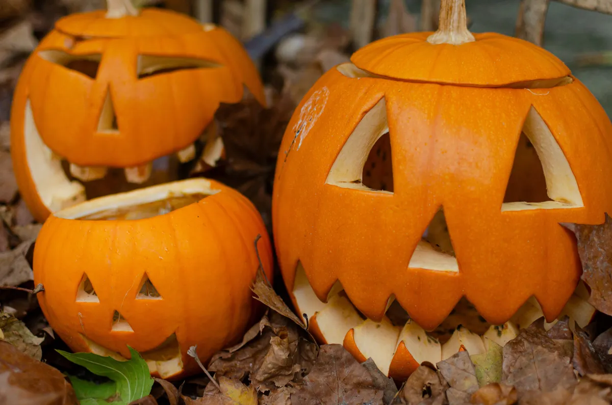 Tökfaragás eredménye: elkészült töklámpások Halloweenre.