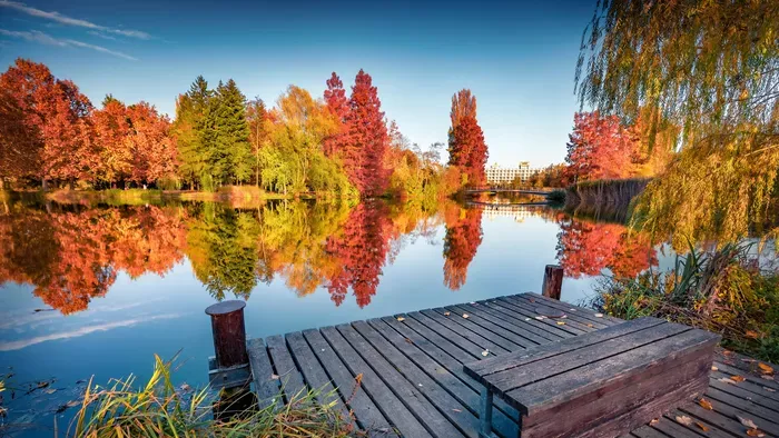 Csodálatos őszi panoráma a Csónakázó-tó szigetére a fa mólóról, Szombathely szívében.