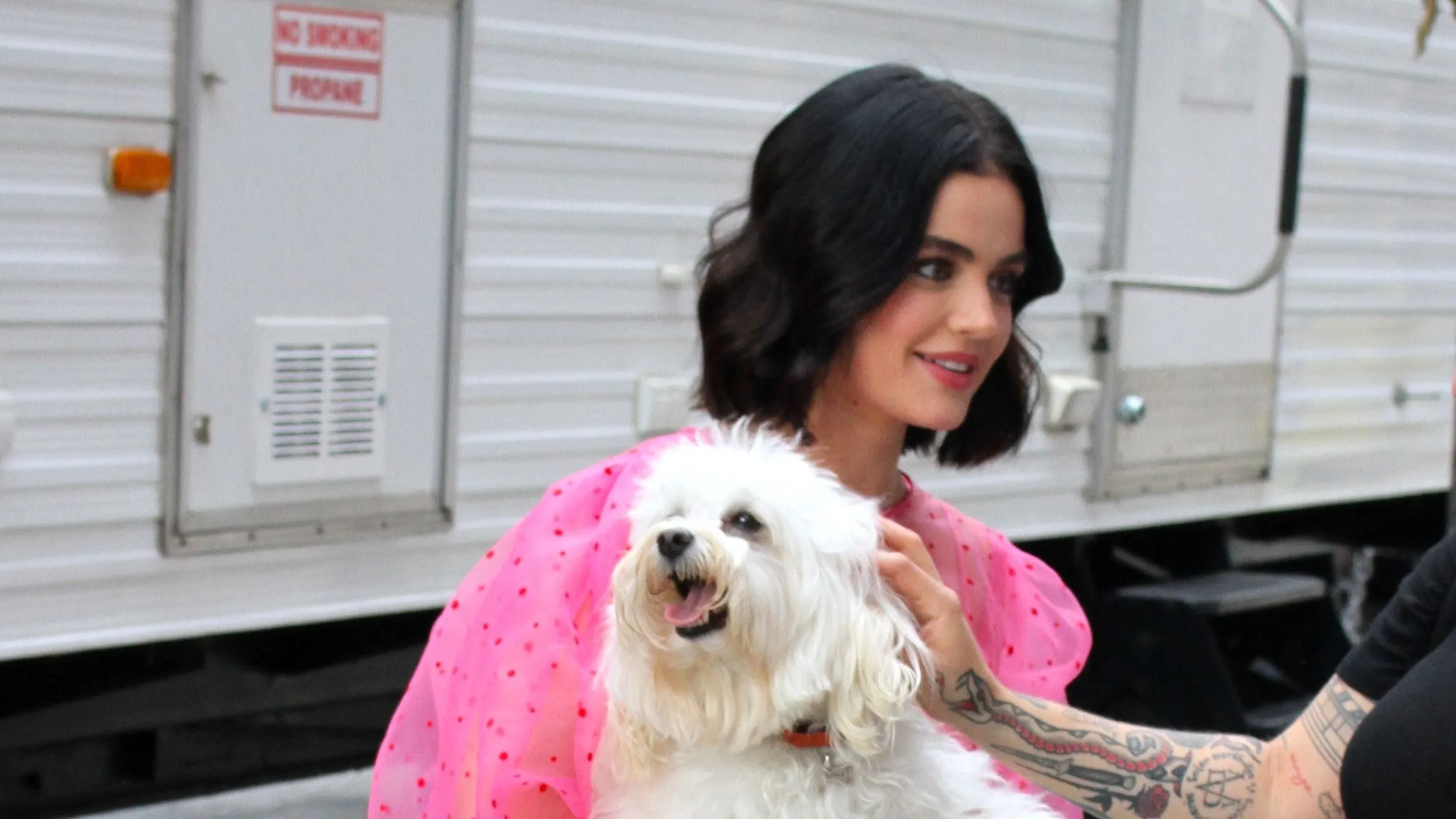 Lucy Hale elárulta, mit jelentenek számára a kutyái