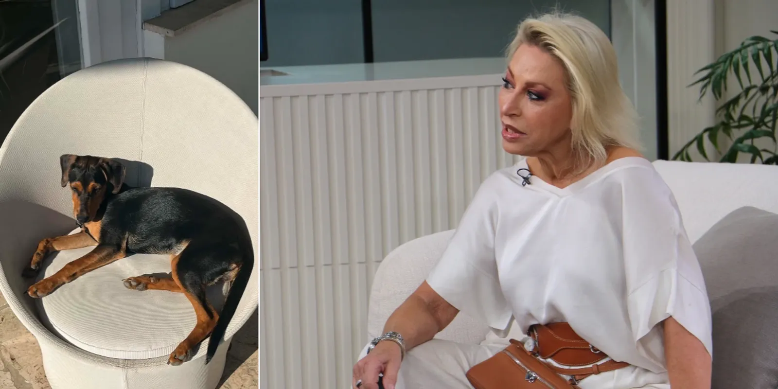 Ungár Anikó egy fotó miatt döntött az örökbefogadás mellett