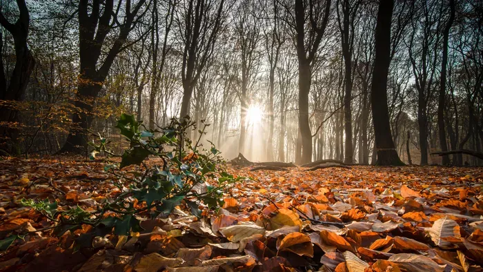 Durva fordulat tartogat az időjárás