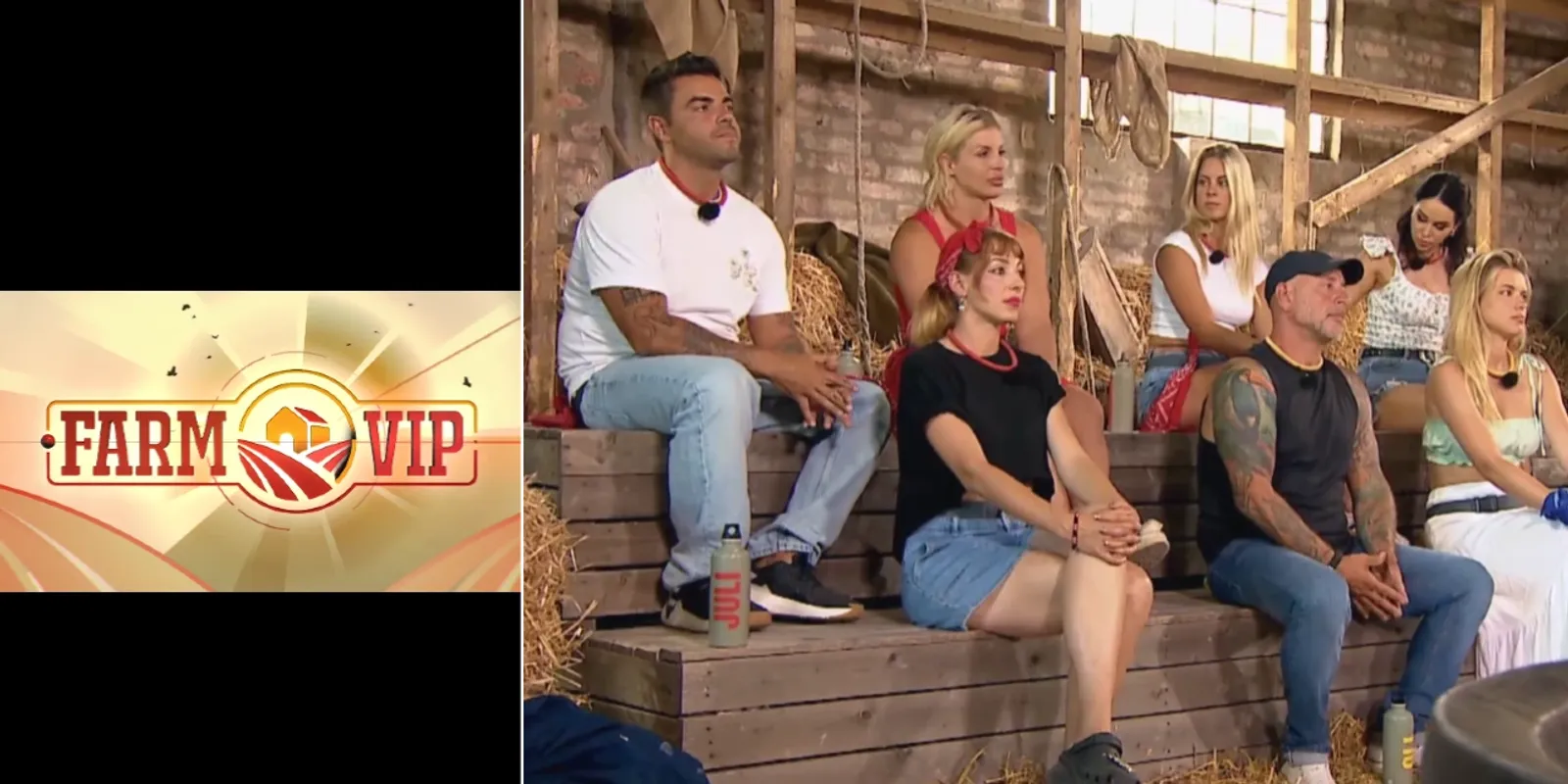 Farm VIP: óriási árulás történt – egy újabb kieső távozott