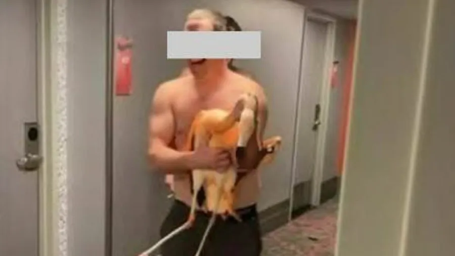 40 sört okolt a flamingó ellopásáért egy turista. 