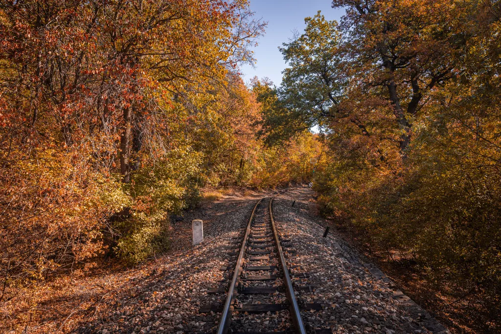 Különleges kirándulásélmény az egész családnak. 