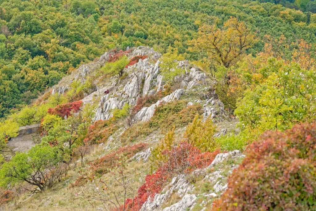 Őszi pillanatkép a 815 méter magas, színpompás Bélkő-hegyen.