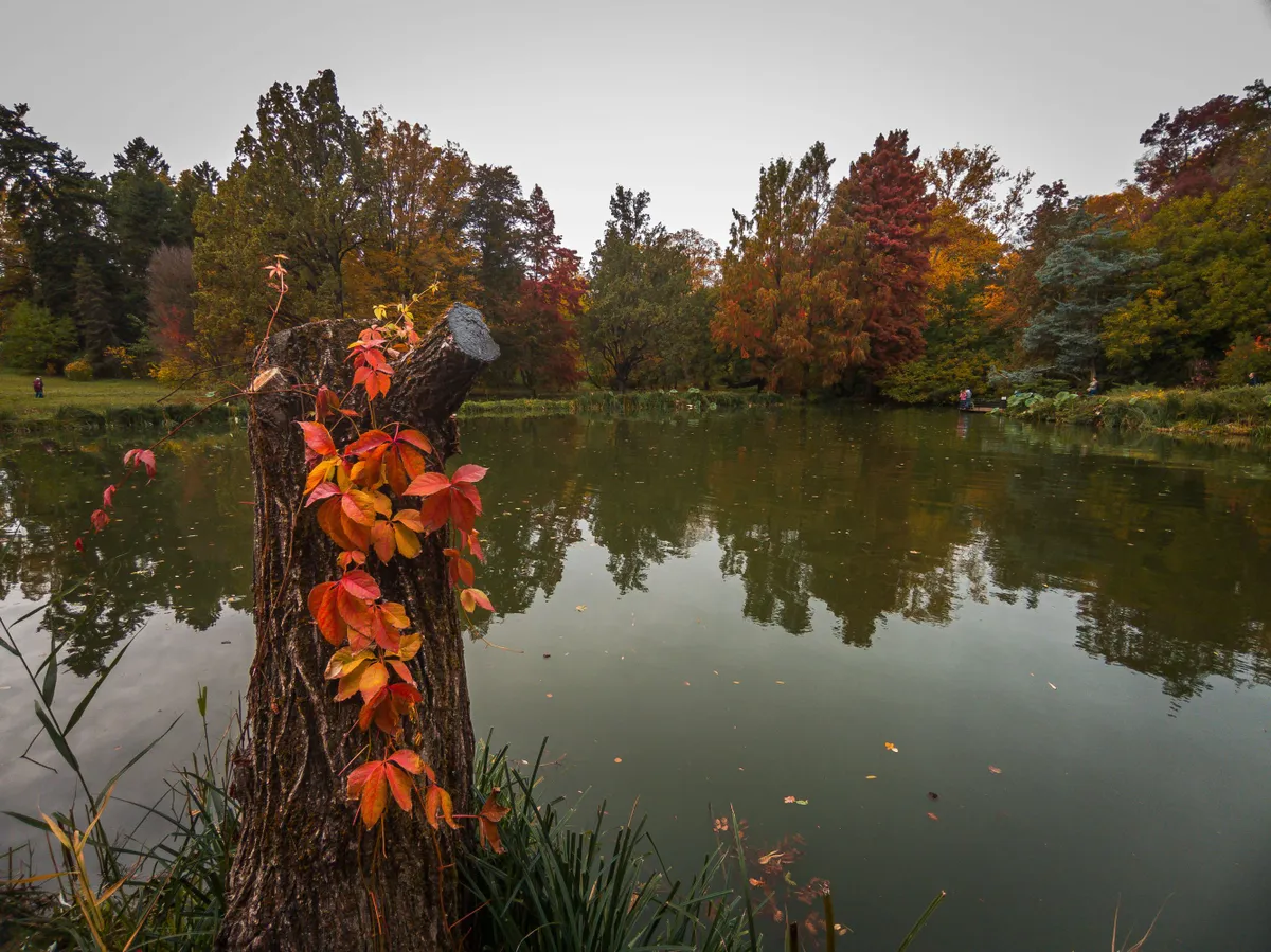 Vácrátóti Arborétum őszi pompában. 