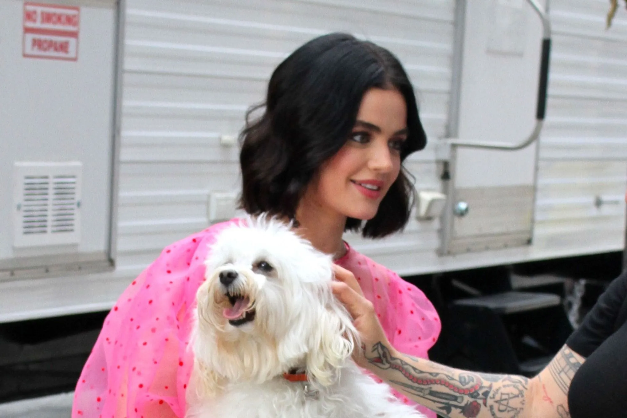 Lucy Hale elárulta, mit jelentenek számára a kutyái