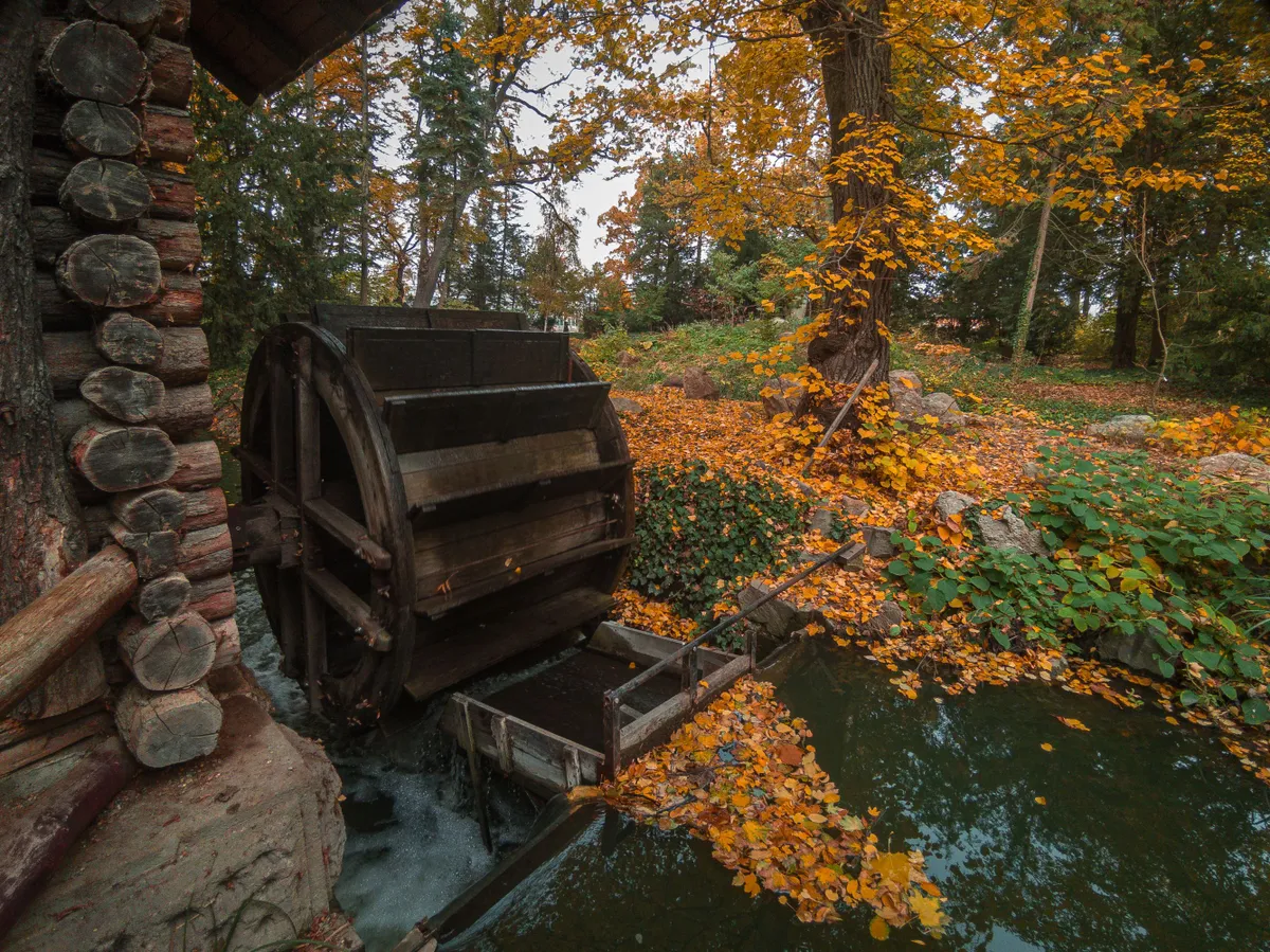 vízimalom a Vácrátóti Arborétumban